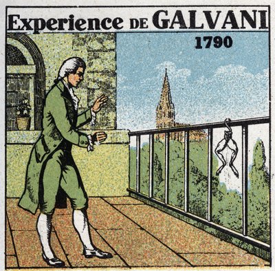 Baterías y acumuladores: experiencia de Luigi Galvani (1737-1798) sobre la electricidad con muslos de rana para ver los efectos en los músculos, en 1790 de Anonymous Anonymous