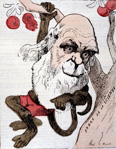 Caricatura de Charles Robert Darwin (1809 - 1882) en "La Lune" de Anonymous Anonymous
