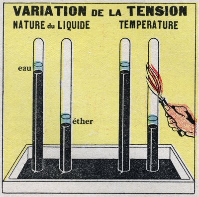 Cambios de estado: vapores. Variación de la tensión según la naturaleza del líquido o la temperatura. Ilustración anónima de 1925. Colección privada. de Anonymous Anonymous