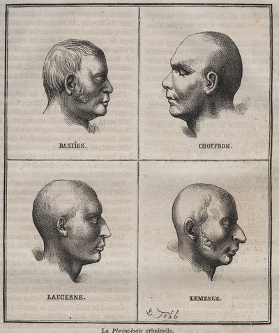 Frenología criminal en el Bagne de Brest (retratos que representan las características fisionómicas de diferentes tipos de criminales). Grabado en “Histoire des bagnes depuis leur création à nos jours” (1877) por Pierre Zaccone (1817-1895). de Anonymous Anonymous