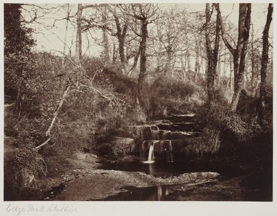 Edge Park, Cheshire, c.1865 (impresión a la albúmina a partir de negativo de cristal) de Anonymous Anonymous