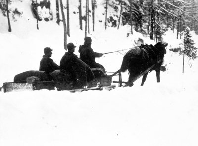 Primera Guerra Mundial, Frente de Carso: cazadores alpinos italianos (alpino o alpini) llevando comida en trineos de Anonymous Anonymous
