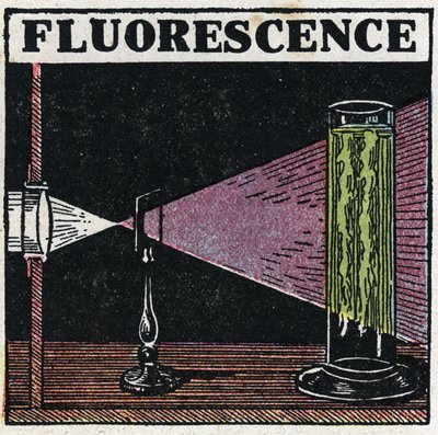Fluorescencia: evidencia de la fluorescencia de los cuerpos. Ilustración anónima de 1925. Colección privada. de Anonymous Anonymous