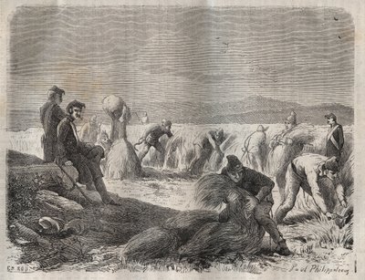 Fuerzas de cosecha en el bagne de Belle-Ile-en-Mer en el siglo XIX. Grabado en “Histoire des bagnes depuis leur création à nos jours” (1877) de Pierre Zaccone (1817-1895). Colección privada. de Anonymous Anonymous