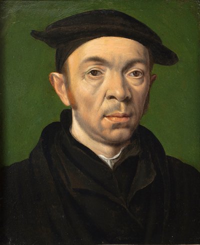 Retrato masculino, c.1550 (óleo sobre cobre) de Anonymous Anonymous