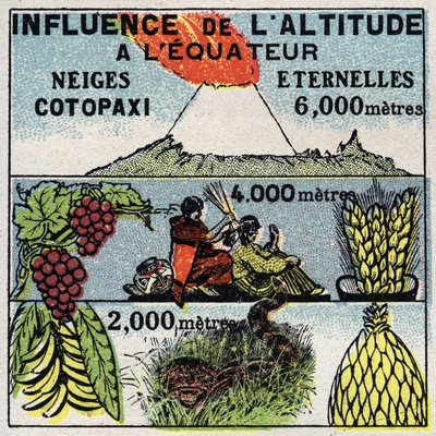 Meteorología: influencia de la altitud en el clima. Ilustración anónima de 1925. Colección privada. de Anonymous Anonymous