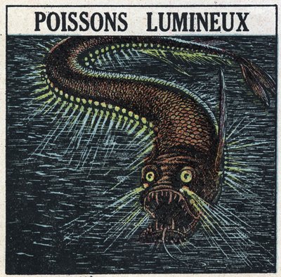 Fosforescencia: pez luminoso. Ilustración anónima de 1925. Colección privada. de Anonymous Anonymous