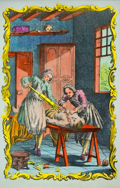 Médico estudiando el movimiento de la sangre: frontispicio del "memoria sobre el movimiento de la sangre y sobre los efectos de la sangría" de Albrecht von Haller (1708-1777) 1756, Colección privada de Anonymous Anonymous