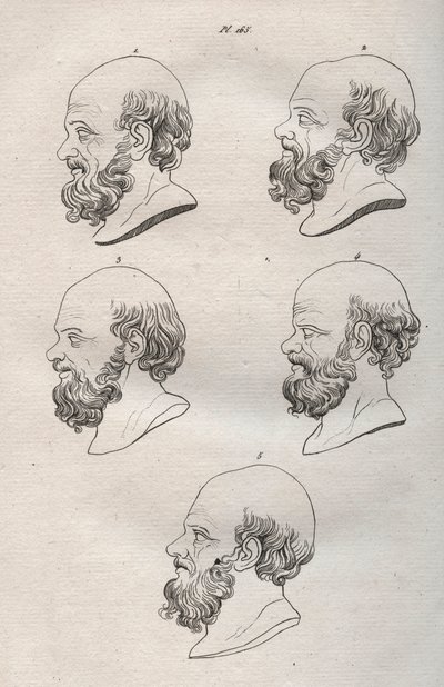 Fisionomía - Fisionomía - Varias cabezas del filósofo griego Sócrates (ca. 469 a.C.-399 a.C.) (Busto de Sócrates (ca 469 a.C.-399 a.C.), filósofo ateniense) grabado de 1808 en “El arte de conocer a los hombres a través de la fisionomía” por Johann Gaspar ( de Anonymous Anonymous