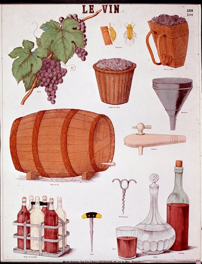 Placa ilustrada sobre el arte de hacer vino y enología (grabado del siglo XIX) de Anonymous Anonymous