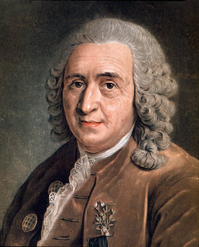 Retrato de Charles Linne (Carl von Linne, Linneo 1707 - 1778), naturalista sueco. Pintura anónima. Siglo XVIII. Milán, colección privada de Anonymous Anonymous