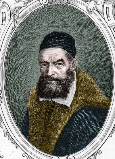 Retrato de Jacopo Palma il Vecchio (Viejo o Viejo) de Anonymous Anonymous