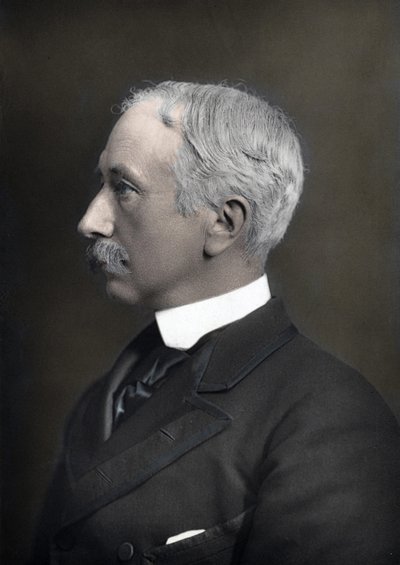 Retrato del Mariscal Vizconde Garnet Joseph Wolseley (1833-1913), Comandante en Jefe del Ejército Británico de Anonymous Anonymous