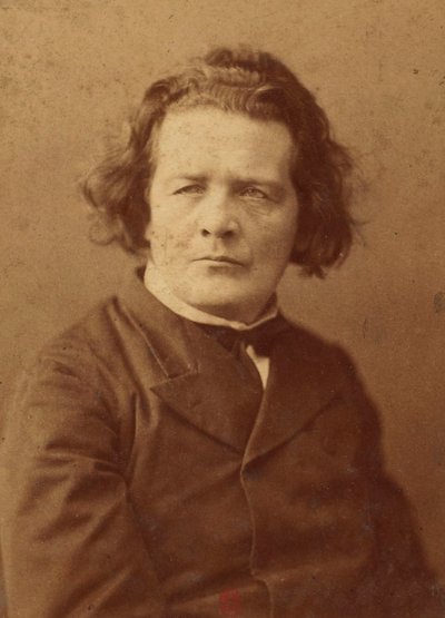 Retrato del compositor Anton Rubinstein (1829-1894), Anónimo. Foto de albúmina. Colección privada de Anonymous Anonymous