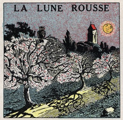 Radiación y conductibilidad: la luna roja cuya luz quema los brotes de las flores. Ilustración anónima de 1925. Colección privada. de Anonymous Anonymous