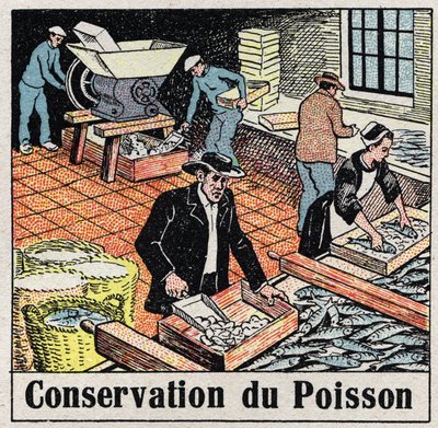 La industria del frío: conservación de pescado en hielo. Ilustración anónima de 1925. Colección privada. de Anonymous Anonymous