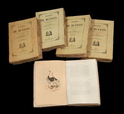 Las obras completas de Buffon (1707 - 1788) de Anonymous Anonymous