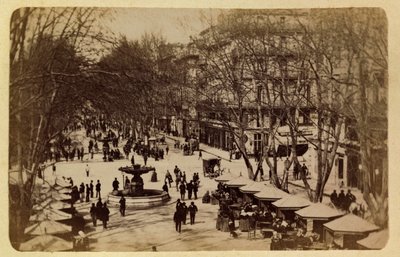 La ciudad de Marsella y sus alrededores alrededor de 1885-1890: El Paseo de las Flores, Cursos Saint Louis, Colección privada de Anonymous Anonymous