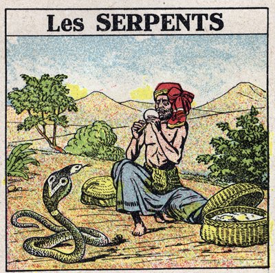 Los efectos de la música: un encantador de serpientes cobras. Ilustración anónima de 1925. Colección privada. de Anonymous Anonymous
