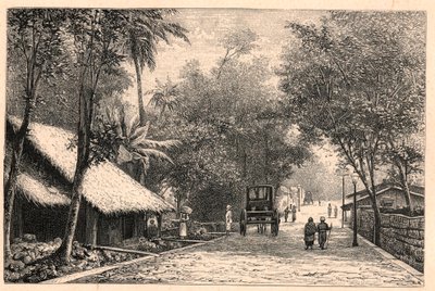 Vista de una calle de Colombo en Ceilán (Sri Lanka). Grabado en “Les Missions Catholiques au XIXeme Siecle” de Louis-Eugene Louvet. Colección privada. de Anonymous Anonymous