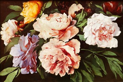 Peonías de Anselm Feuerbach