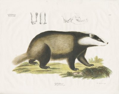  de Anstalt Arnz & Co.