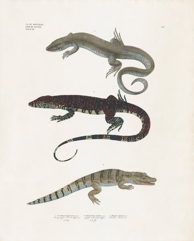  de Anstalt Arnz & Co.