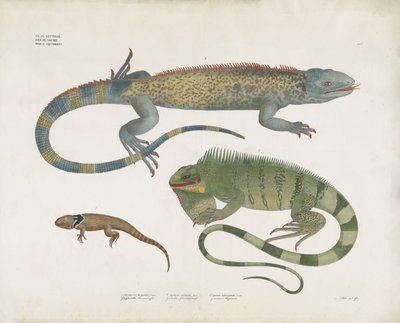  de Anstalt Arnz & Co.