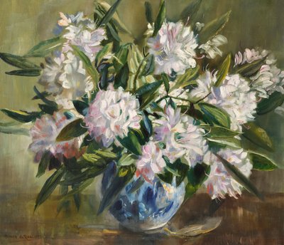 Rododendros, blanco pálido y rosa de Anthea Durose