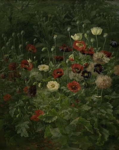 Amapolas de Anthonie Christensen