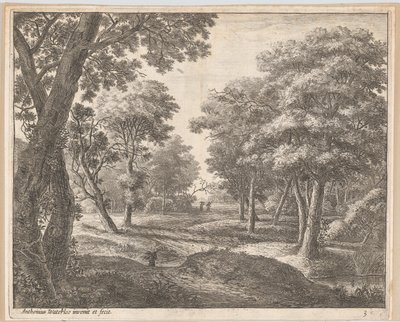 Un Camino a Través del Bosque, siglo XVII de Anthonie Waterloo