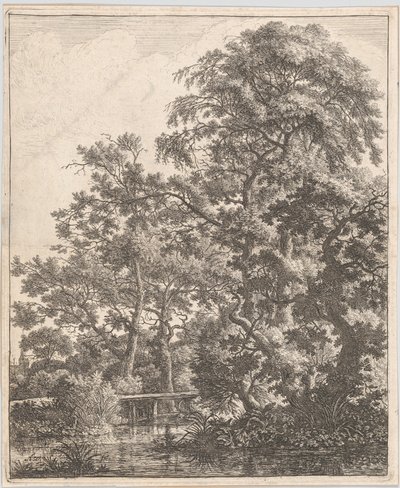 Un pequeño puente sobre un arroyo, siglo XVII de Anthonie Waterloo