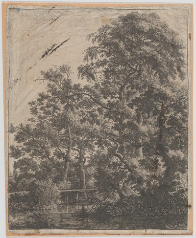 Un pequeño puente sobre un arroyo, siglo XVII de Anthonie Waterloo