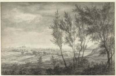 Vista de Haarlem desde las dunas de Anthonie Waterloo