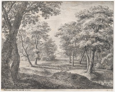 El camino a través del bosque, siglo XVII de Anthonie Waterloo
