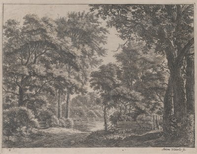 Los bosques recortados, siglo XVII de Anthonie Waterloo
