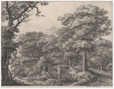 Viajeros descansando en el bosque, siglo XVII de Anthonie Waterloo