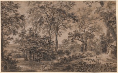 paisaje boscoso de Anthonie Waterloo