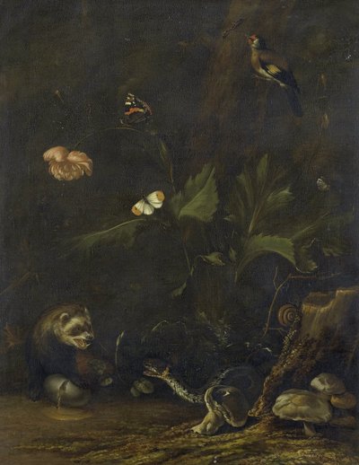 Animales y plantas de Anthonie van Borssom