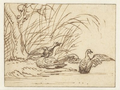 Tres patos en el paseo marítimo de Anthonie van Borssom