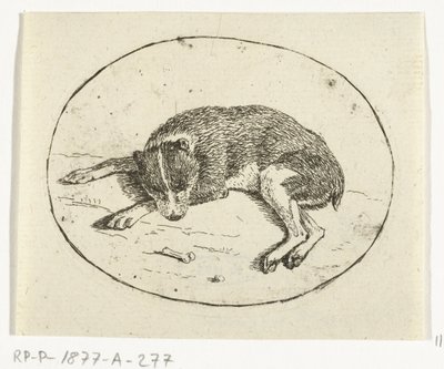perro mentiroso de Anthonie van den Bos