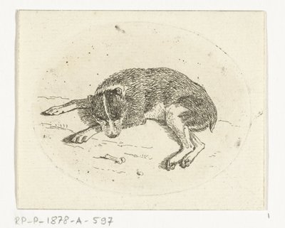 perro mentiroso de Anthonie van den Bos