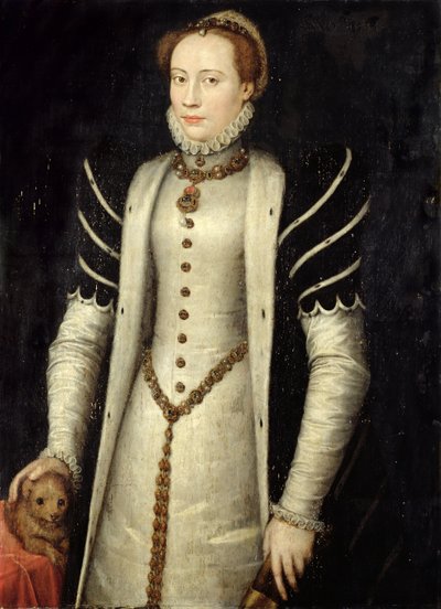 Retrato de una noble con un cachorro, 1555 de Anthonis Mor
