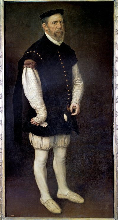 Retrato de cuerpo entero de Pejeron, bufón del Conde de Benavente. Pintura de Antonio Moro (1517-1575) Siglo XVI. Madrid, Museo del Prado de Anthonis Mor van Dashorst
