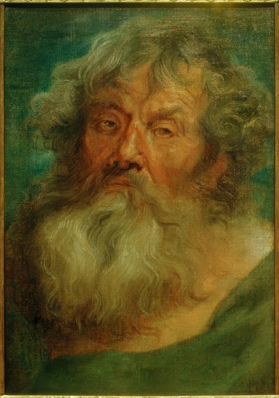 Cabeza de un anciano de Anthony van Dyck