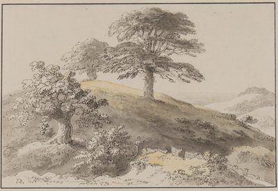 Sussex: Cerca de St Marthas, Albury de Anthony Devis