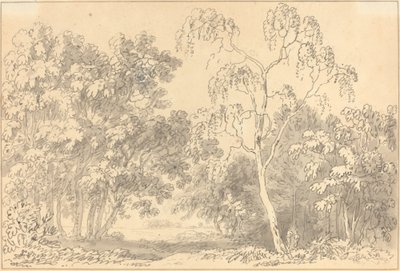 Paisaje boscoso de Anthony Devis