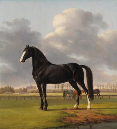 El trotón 