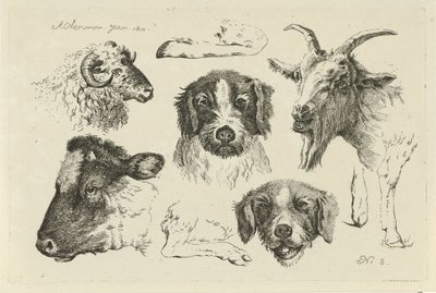 cabezas y patas de animales Estudios de vacas, ovejas y cabras (título de la serie) de Anthony Oberman