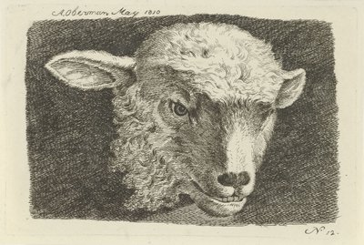 cabeza de cordero Estudios de vacas, ovejas y cabras (título de la serie) de Anthony Oberman